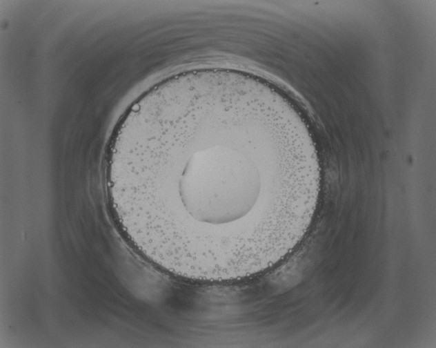 X0000068811514200605121237