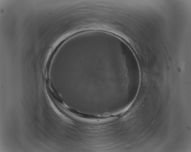 X0000068811515200605121237