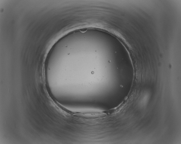 X0000068811516200605121237