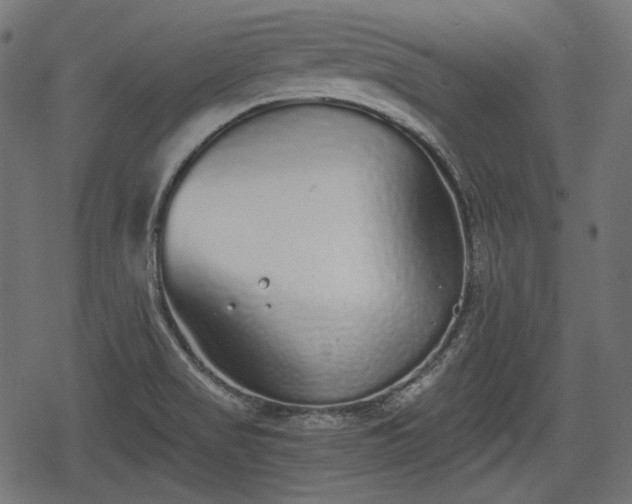 X0000068811517200605121237