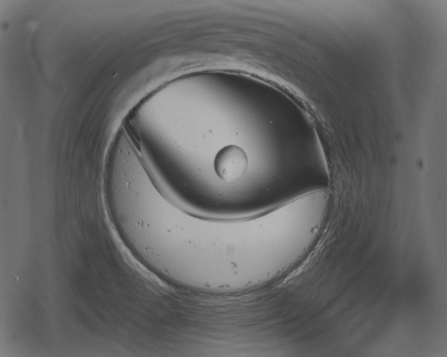 X0000068811518200605121237