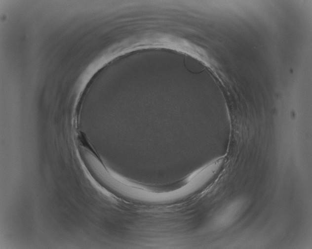 X0000068811519200605121237