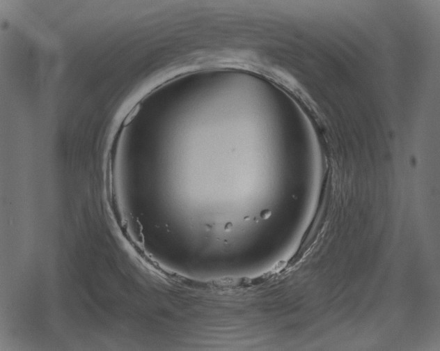 X0000068811520200605121237