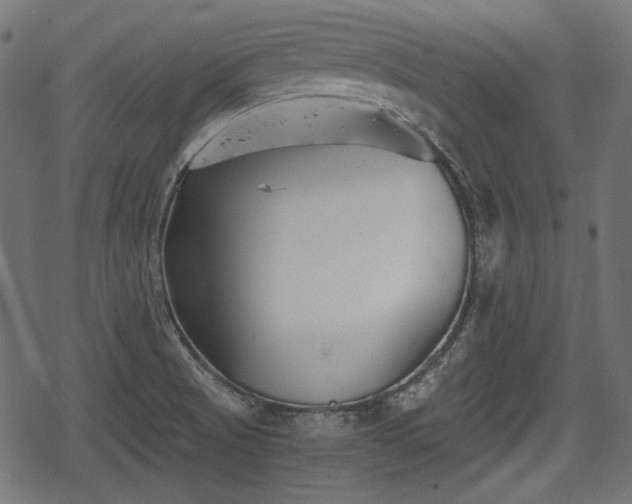 X0000068811521200605121237