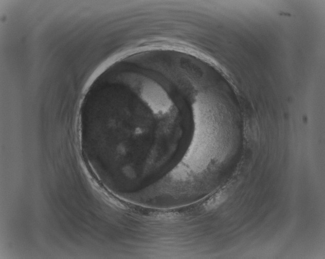 X0000068811522200605121237