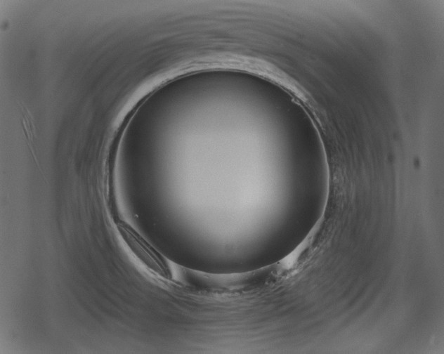 X0000068811523200605121237