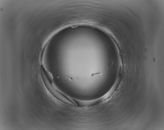 X0000068811524200605121237