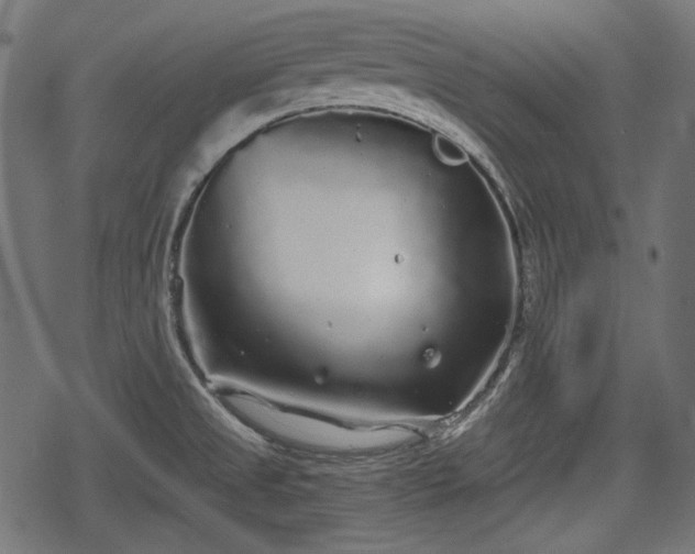 X0000068811525200605121237