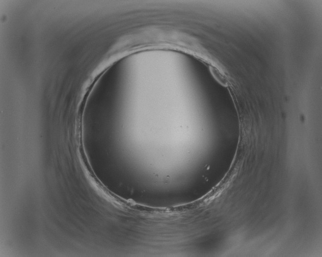 X0000068811526200605121237