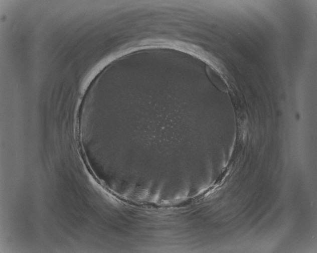 X0000068811527200605121237