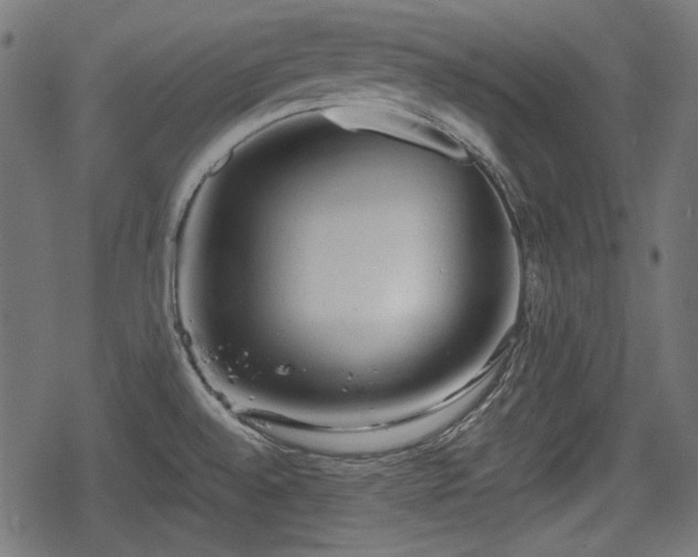 X0000068811528200605121237