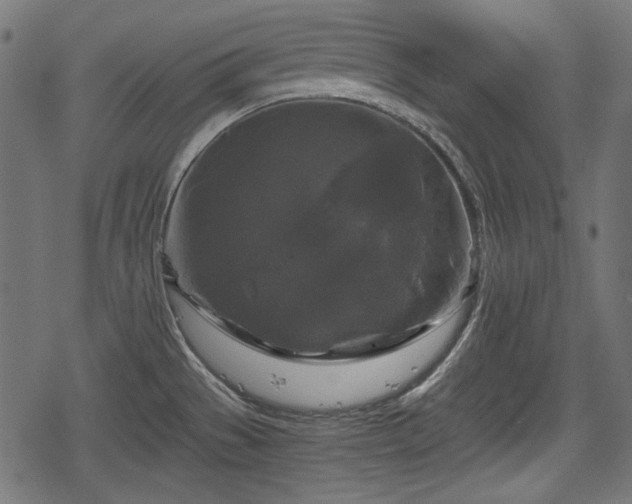 X0000068811529200605121237