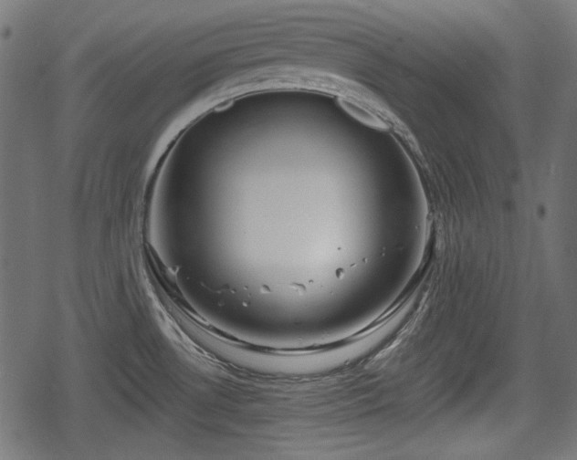 X0000068811530200605121237