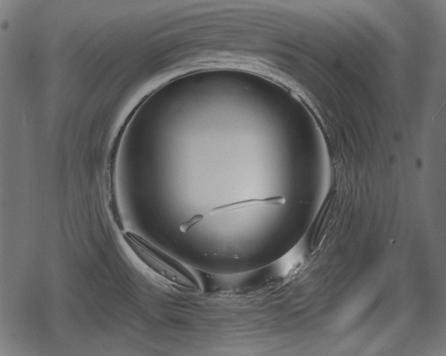 X0000068811531200605121237