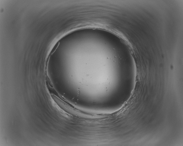 X0000068811532200605121237