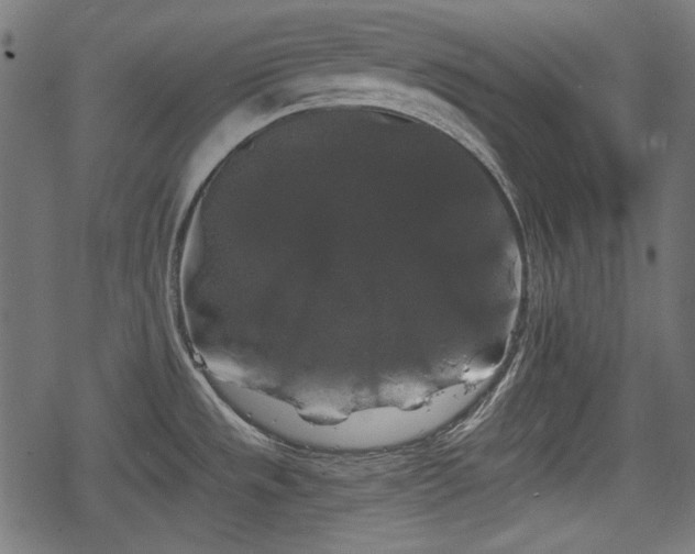 X0000068811533200605121237