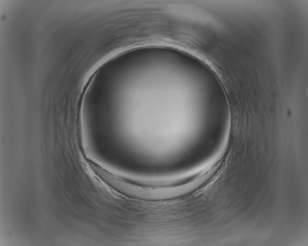 X0000068811534200605121237