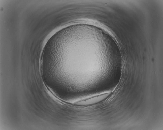 X0000068811535200605121237