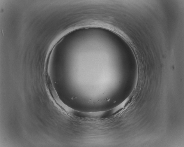 X0000068811536200605121237