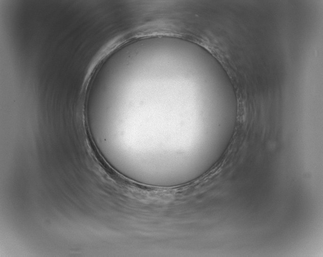 X0000068810004200605191819