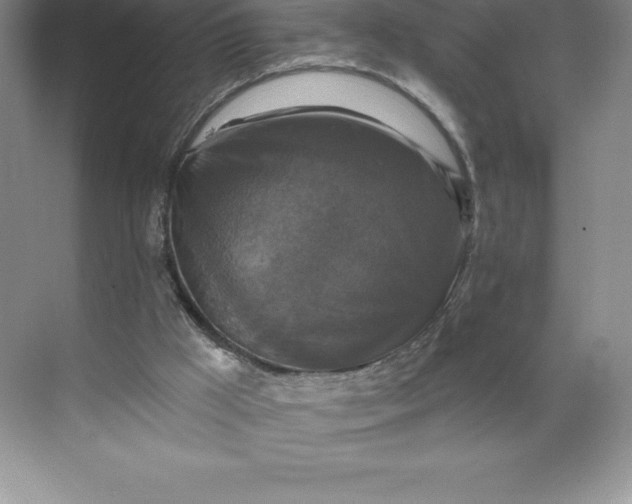 X0000068810009200605191819