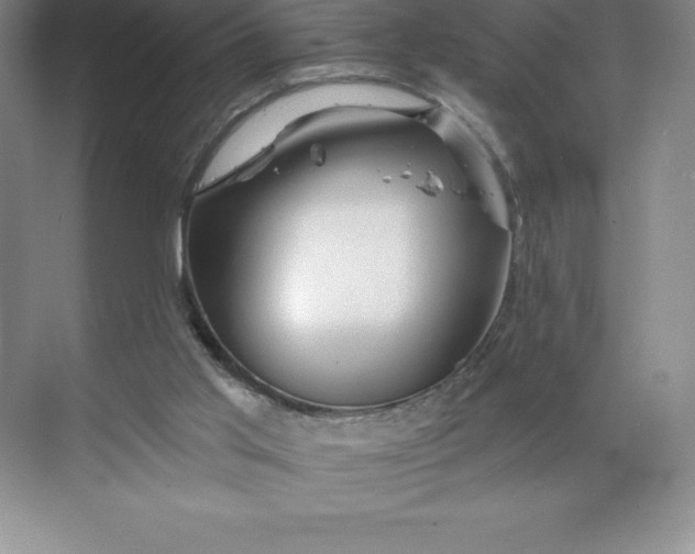 X0000068810013200605191819