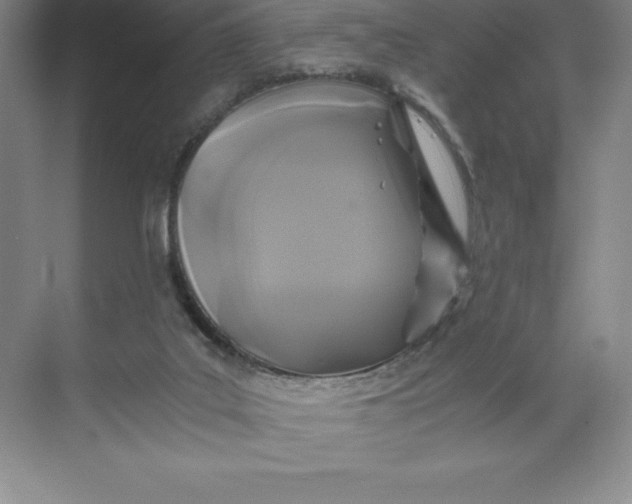 X0000068810019200605191819