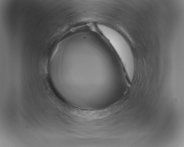 X0000068810023200605191819