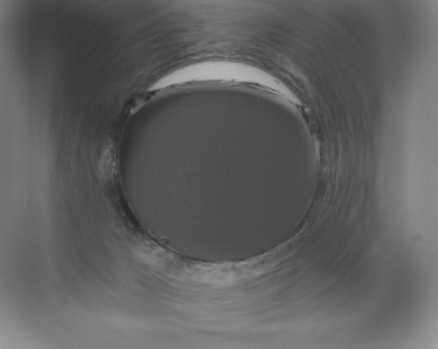 X0000068810029200605191819