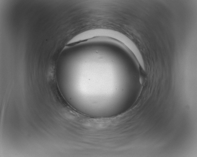 X0000068810033200605191819