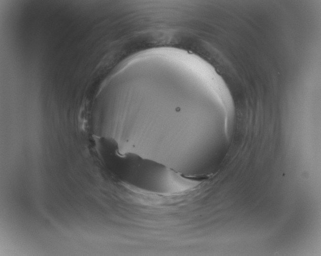 X0000068810035200605191818