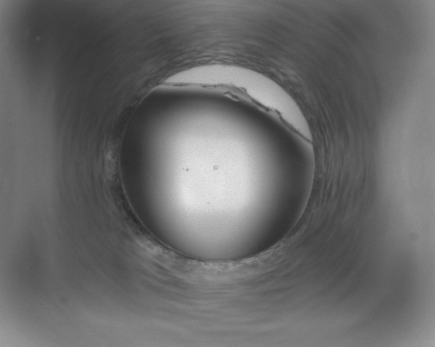 X0000068810037200605191818