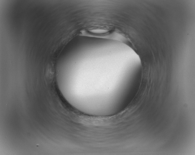 X0000068810040200605191818