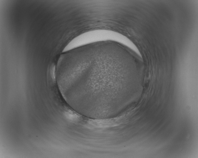 X0000068810041200605191818