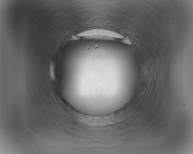 X0000068810042200605191818
