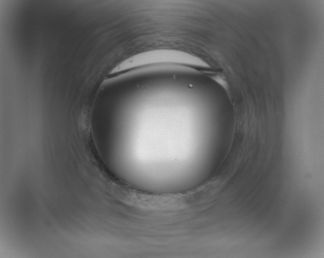 X0000068810044200605191818