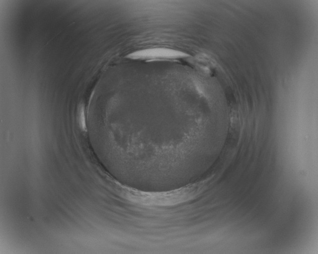 X0000068810046200605191818