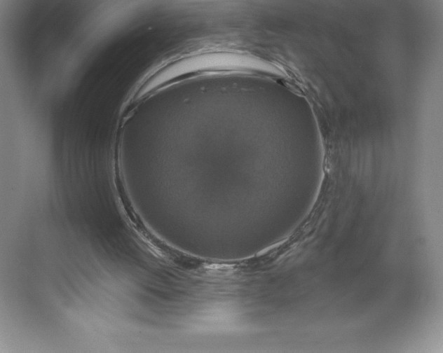 X0000068810052200605191818