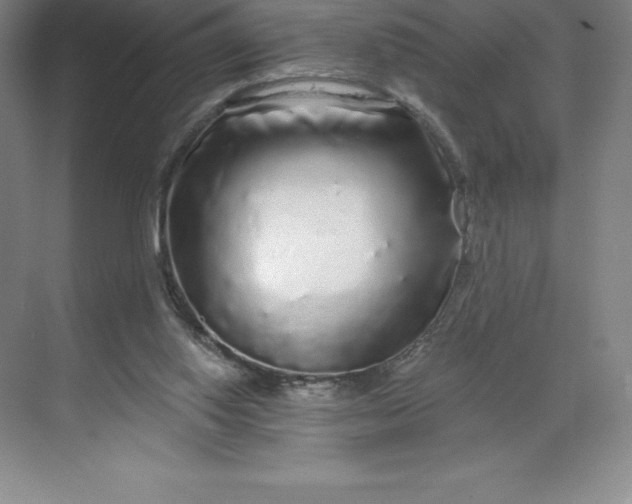 X0000068810062200605191818
