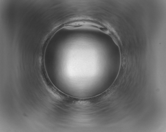 X0000068810063200605191818