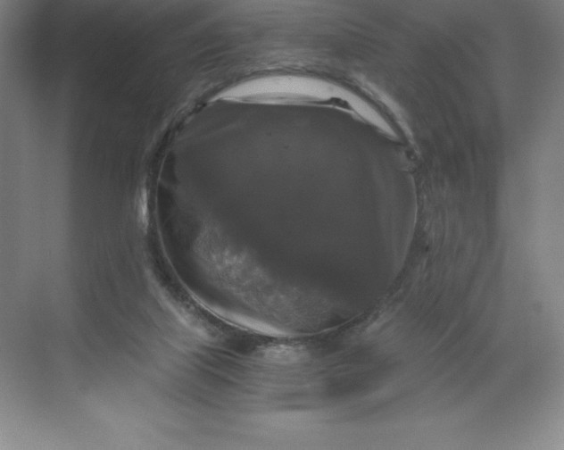 X0000068810067200605191818