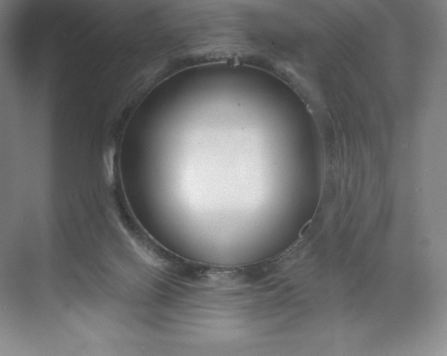 X0000068810070200605191818