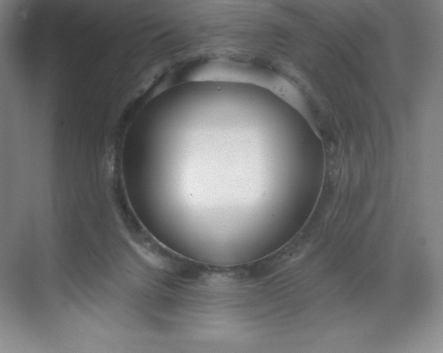 X0000068810072200605191818