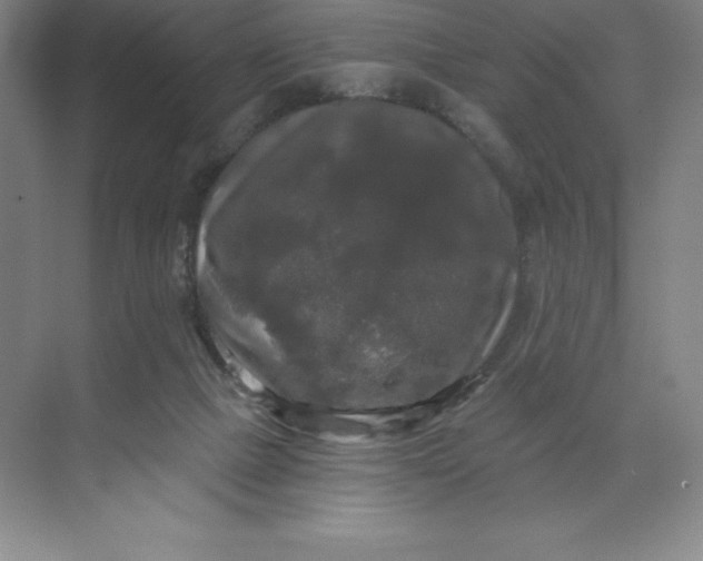 X0000068810073200605191818