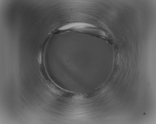 X0000068810076200605191818