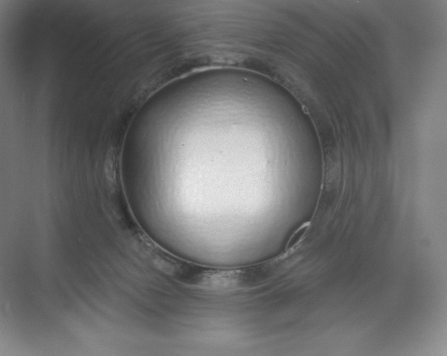 X0000068810078200605191818