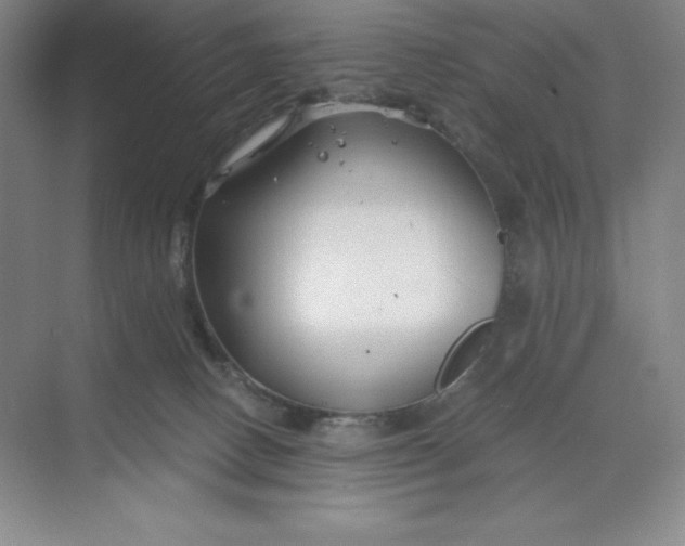 X0000068810082200605191818
