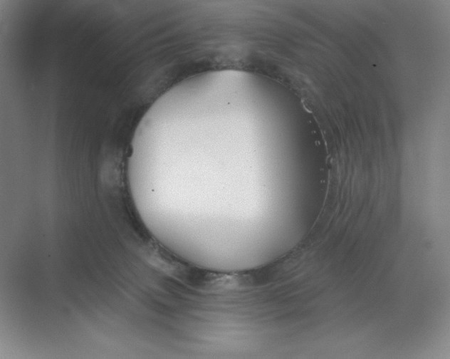 X0000068810083200605191818