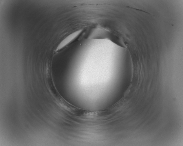 X0000068810084200605191818