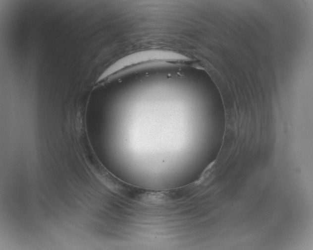 X0000068810086200605191818